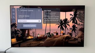 LG OLED update 33.31.28 FIXES this VERY annoying issue!