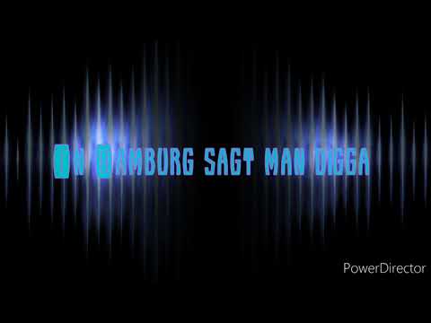 LuuX - In Hamburg sagt man Digga [Dj set]