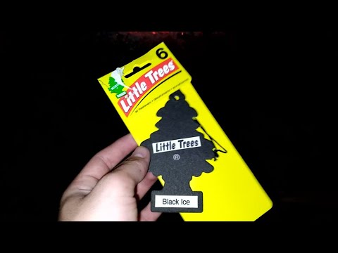 Burning Little Trees Black Ice Air Freshener