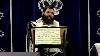 דף היומי שבועות דף מ"א ע"ב ¤ הרב נתנאל אברז'ל ¤ בית הכנסת "בית מרדכי" (מוסדות תורת דוד) - התמונה מוצגת ישירות מתוך אתר האינטרנט יוטיוב. זכויות היוצרים בתמונה שייכות ליוצרה. קישור קרדיט למקור התוכן נמצא בתוך דף הסרטון