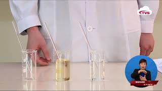 2020 03 31 6 r angi Fizik x264