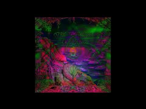 Ozric Tentacles live in Wyandotte 1994