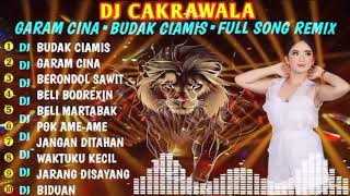 Download lagu DJ CAKRAWALA BUDAK CIAMIS-GARAM CINA FULL SONG REMIX mp3