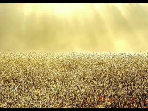 Aidas Giniotis ir Indre Dirgelaite - Jei ne auksines vasaros