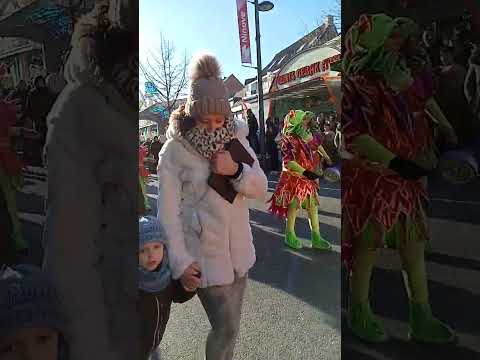 Dweis Overegt |Ninove Carnaval 2023