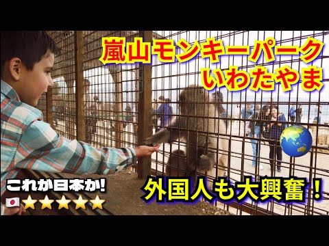 嵐山モンキーパークいわたやま,🐒紅葉🍁🌟外国人が大興奮する京都の穴場！