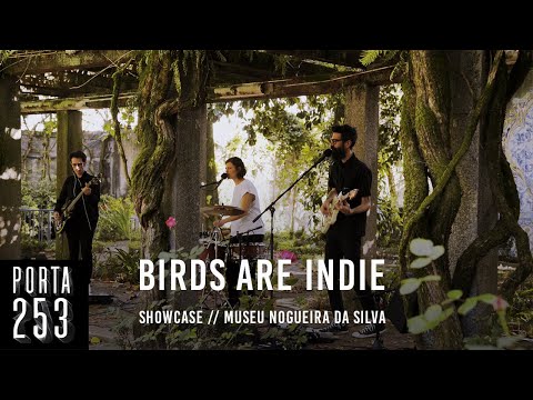 BIRDS ARE INDIE (II) // Ao Vivo na Porta 253