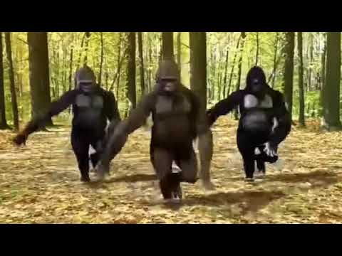 Nyoyoma & Msamiart MWAISA official dance music video