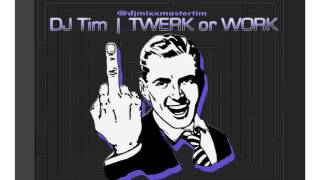 DJ Tim - Twerk or Work 2014 (Clean)