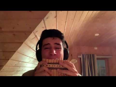 Take on me (A-ha) Pan flute cover