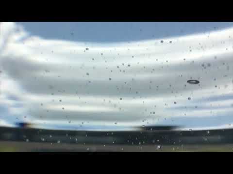 Bardzo mały wieloryb | słuchowizja #2