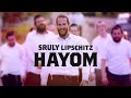 Hayom - Sruly Lipschitz  היום - שרולי ליפשיטץ
