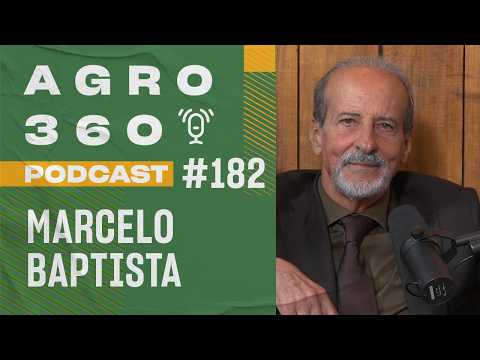 Fidelidade ao padrão: a base de toda criação na Agro Maripá |Marcelo Baptista  #agro #agro360podcast