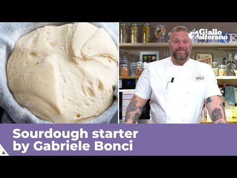 download lagu mp3 mp4 Lievito Madre Vs Sourdough Starter, download lagu Lievito Madre Vs Sourdough Starter gratis, unduh video klip Lievito Madre Vs Sourdough Starter