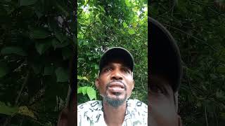 invest in your future, invest for your future