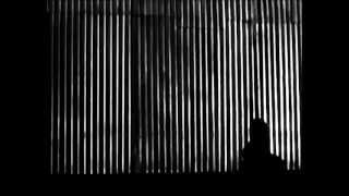 /ILLUM SPHERE // CHASING THE MIDNIGHT MOTH