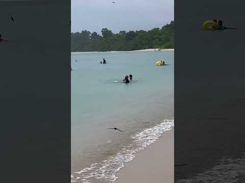 Andaman Tour #travel #india #andman #neil #shaheeddweep #beach #love #beautiful #videoshort #amazing