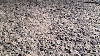 Don&#39;t touch me there