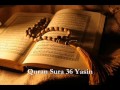Quran Sura 36 Yasin 