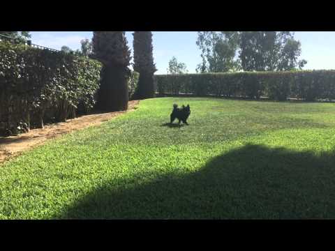 Yuri y Yanira de Tmbelcan.