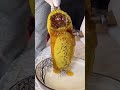 Honey Foodie Streetfood