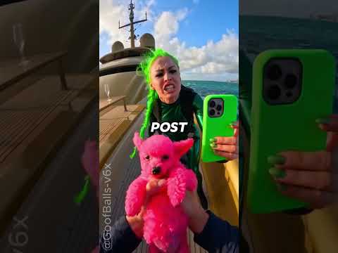 Karen was dropping it for views. I jumped to save him!