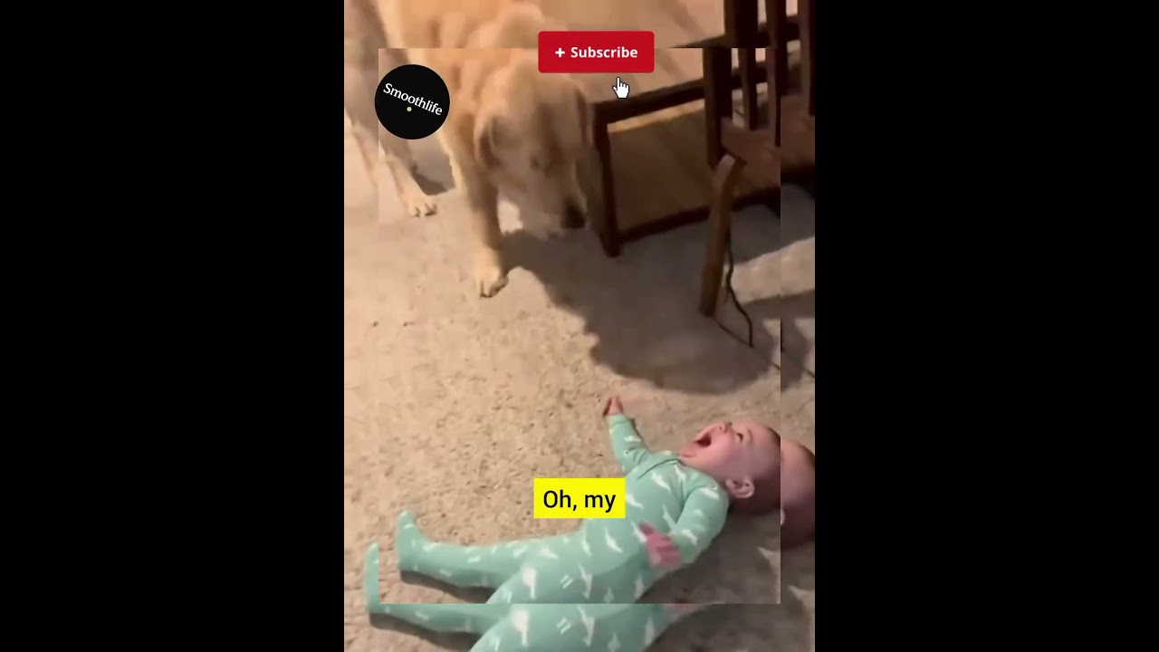 Baby Took It Too Far… He Started Riding The Dog 😭🐶