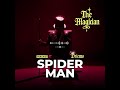 Driemo Spider Man Official Visualiser