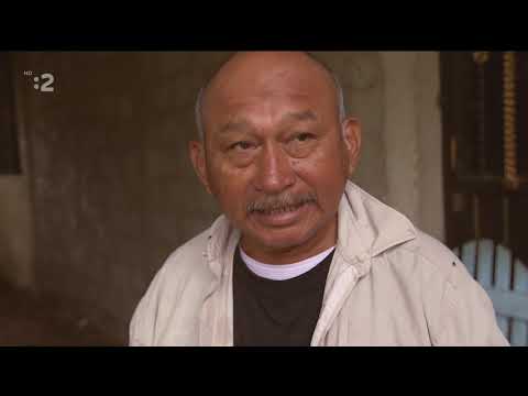 Majstri včiel(10) Včely Mayov - Mexiko (SK dabing)