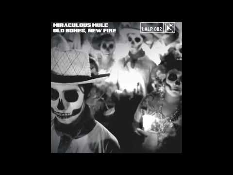 Miraculous Mule – Sinnerman