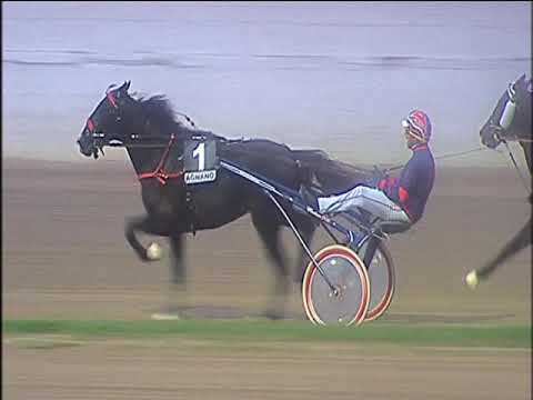 Trotto 25/10/2019 - 6ª corsa