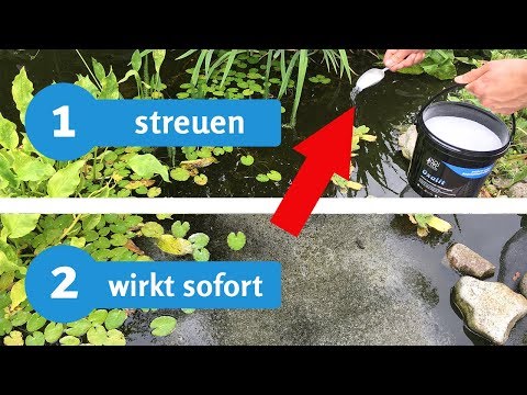 Teichschlamm entfernen in Minuten – geht das? Der Live-Test mit Erfahrungsbericht