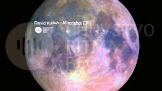 David Kulikov Moonshot EP