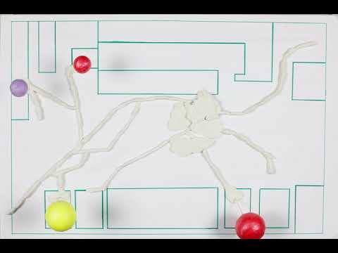 Stopmotion Test MA UX of Urban Spaces