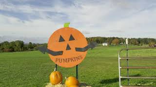 4K Aerials, WESTVIEW FARMS CREAMERY