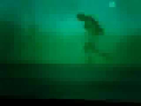 Metal Gear Trilogy Trailer