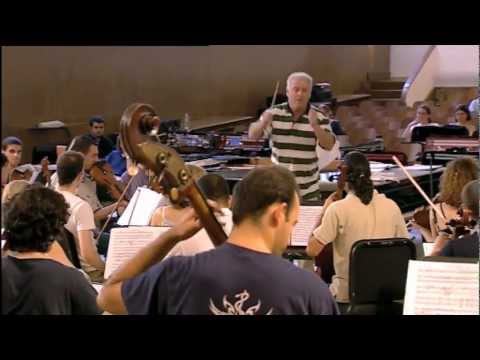 An Introduction to the West-Eastern Divan Orchestra Video-Thumbnail von YouTube