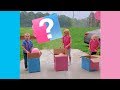 Best Funny Reactions To Baby Gender Reveals