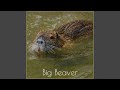 Big Beaver