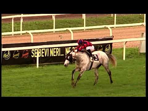 rm 20211128 03 p farrellmemcesaremercalli