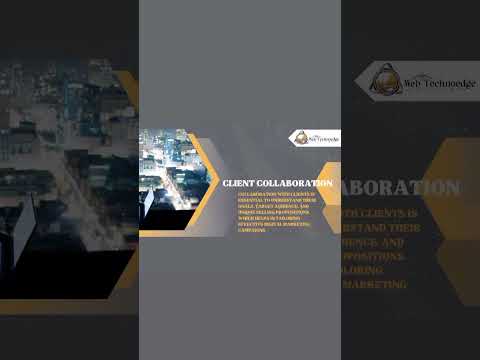 Website Development Highlights