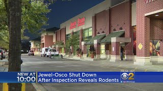 Rodents Found In Jewel-Osco Grocery Store