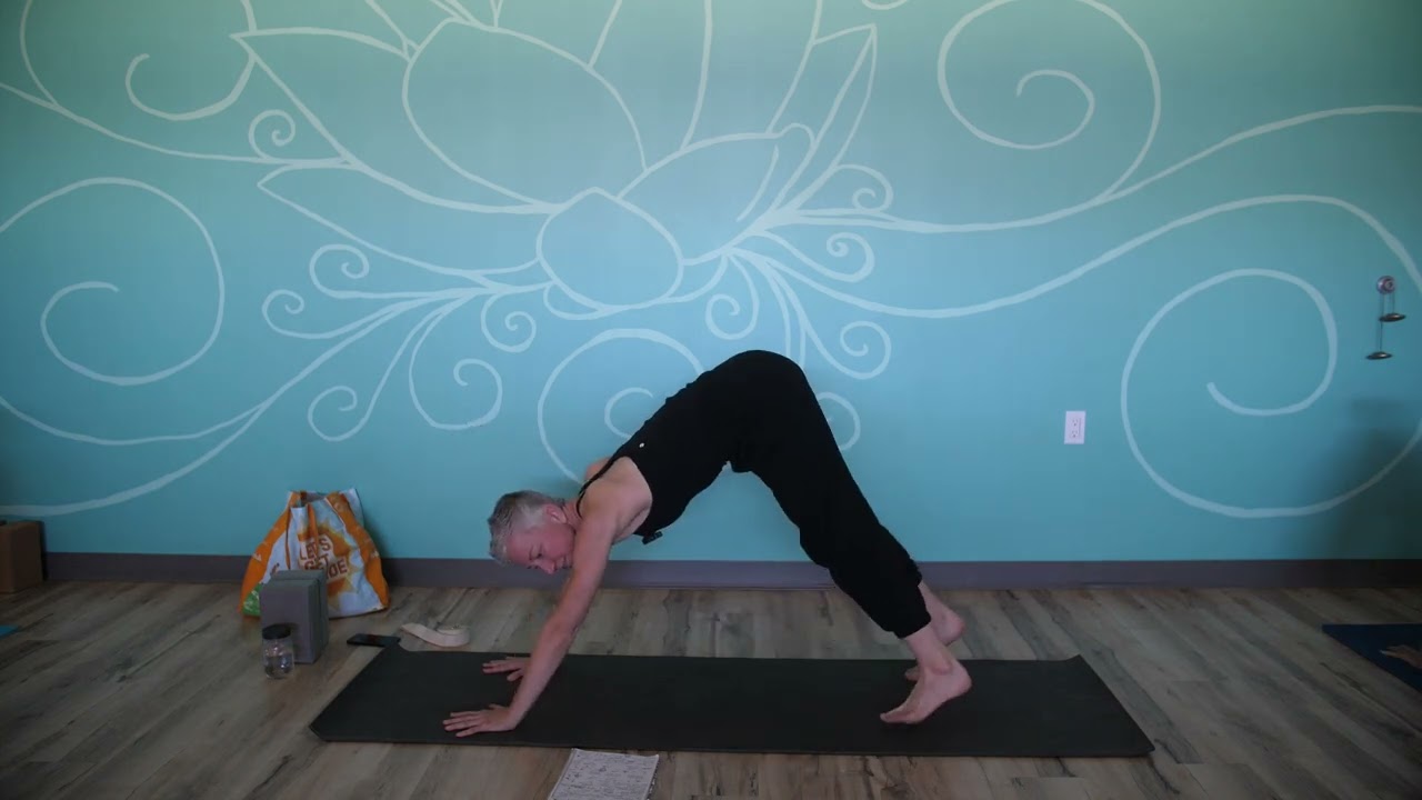 November 27, 2022 - Amanda Tripp - Hatha Yoga (Level I)