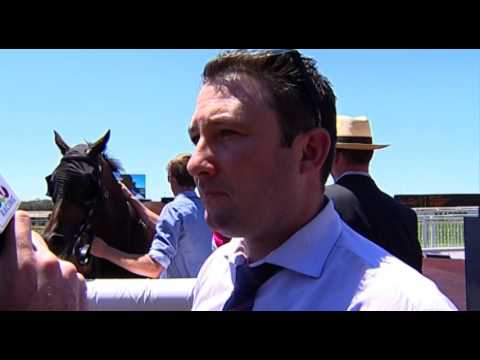 Ascot, 13/02/2016 - Race 2 - DARK ALERT - Jason Miller & Clint Johnston-Porter