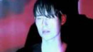 shocking pinks - emily