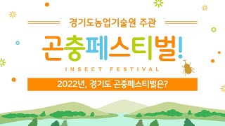 곤충페스티벌에선 무엇을 했을까?
