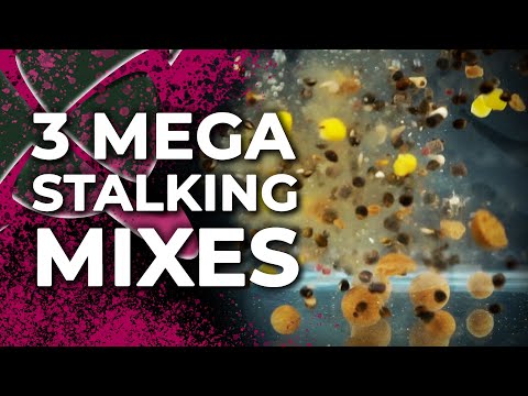CATCH MORE CARP WITH THESE STANDOUT MIXES! 🔥