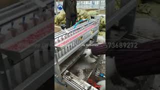 Do you know how semi-automatic nursery seedling machine works? #shorts