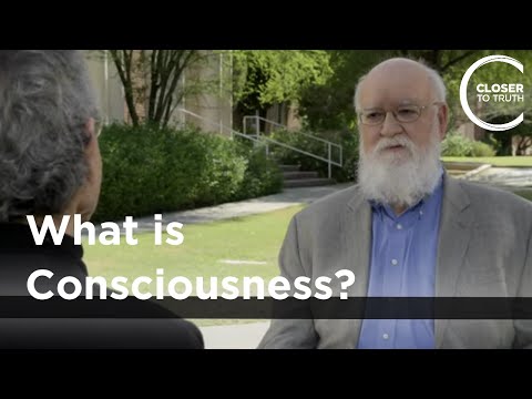 Daniel C. Dennett - What is Consciousness?
