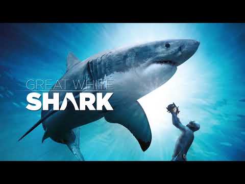 Great White Shark - Official Trailer